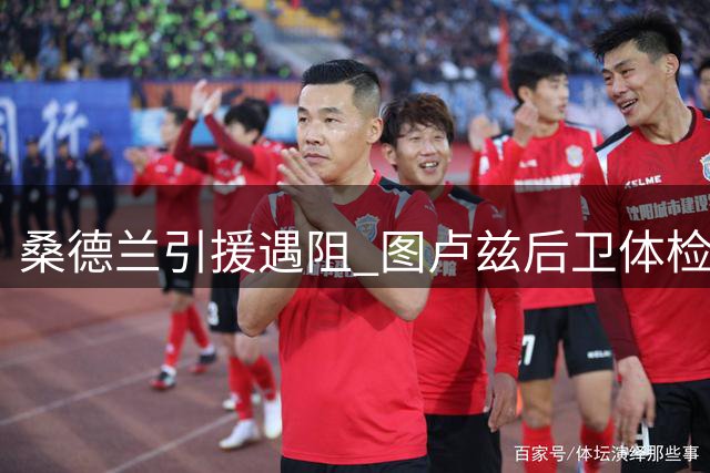 桑德兰引援遇阻 图卢兹后卫体检查出背部伤势