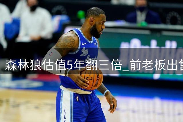 森林狼估值5年翻三倍 前老板出售控股权获利丰厚